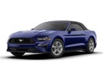 2019 Mustang Thumbnail 2