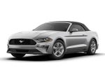 2019 Mustang Thumbnail 3