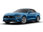 2019 Mustang Thumbnail 4