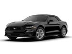 2019 Mustang Thumbnail 5