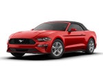 2019 Mustang Thumbnail 7