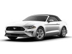 2019 Mustang Thumbnail 8