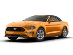 2019 Mustang Thumbnail 9