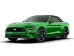 2019 Mustang Thumbnail 10