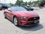 2019 Mustang Thumbnail 1