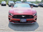 2019 Mustang Thumbnail 2