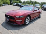 2019 Mustang Thumbnail 3