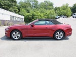 2019 Mustang Thumbnail 4