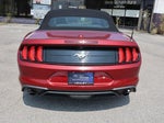 2019 Mustang Thumbnail 6