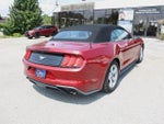 2019 Mustang Thumbnail 7
