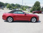 2019 Mustang Thumbnail 8