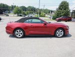 2019 Mustang Thumbnail 9