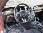 2019 Mustang Thumbnail 13