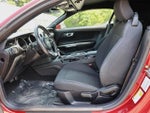2019 Mustang Thumbnail 14