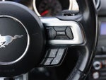 2019 Mustang Thumbnail 35