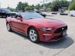 2019 Mustang Thumbnail 38