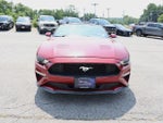 2019 Mustang Thumbnail 39