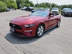 2019 Mustang Thumbnail 40