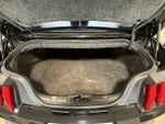 2020 Mustang Thumbnail 17