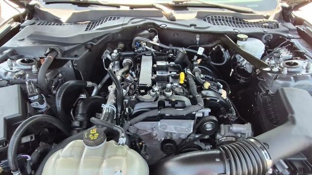 2023 Ford Mustang EcoBoost