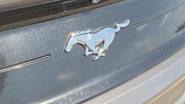 2023 Ford Mustang EcoBoost