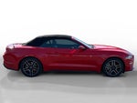 2023 Mustang Thumbnail 6