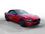 2023 Mustang Thumbnail 7