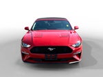 2023 Mustang Thumbnail 8