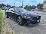 2017 Mustang Thumbnail 3