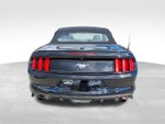2017 Mustang Thumbnail 7