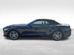 2017 Mustang Thumbnail 9