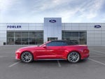 2018 Mustang Thumbnail 4