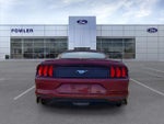 2018 Mustang Thumbnail 6