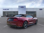 2018 Mustang Thumbnail 7