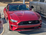 2019 Mustang Thumbnail 1