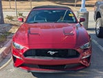 2019 Mustang Thumbnail 2