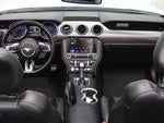 2019 Mustang Thumbnail 8
