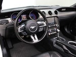 2019 Mustang Thumbnail 10