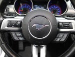 2019 Mustang Thumbnail 11