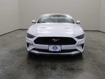 2019 Mustang Thumbnail 14