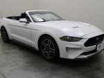 2019 Mustang Thumbnail 15