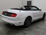 2019 Mustang Thumbnail 16
