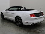 2019 Mustang Thumbnail 17