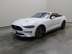2019 Mustang Thumbnail 18