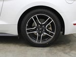 2019 Mustang Thumbnail 19