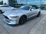 2019 Mustang Thumbnail 1