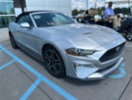 2019 Mustang Thumbnail 2