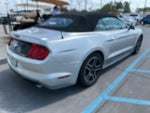 2019 Mustang Thumbnail 3
