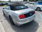 2019 Mustang Thumbnail 4