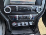 2020 Mustang Thumbnail 18